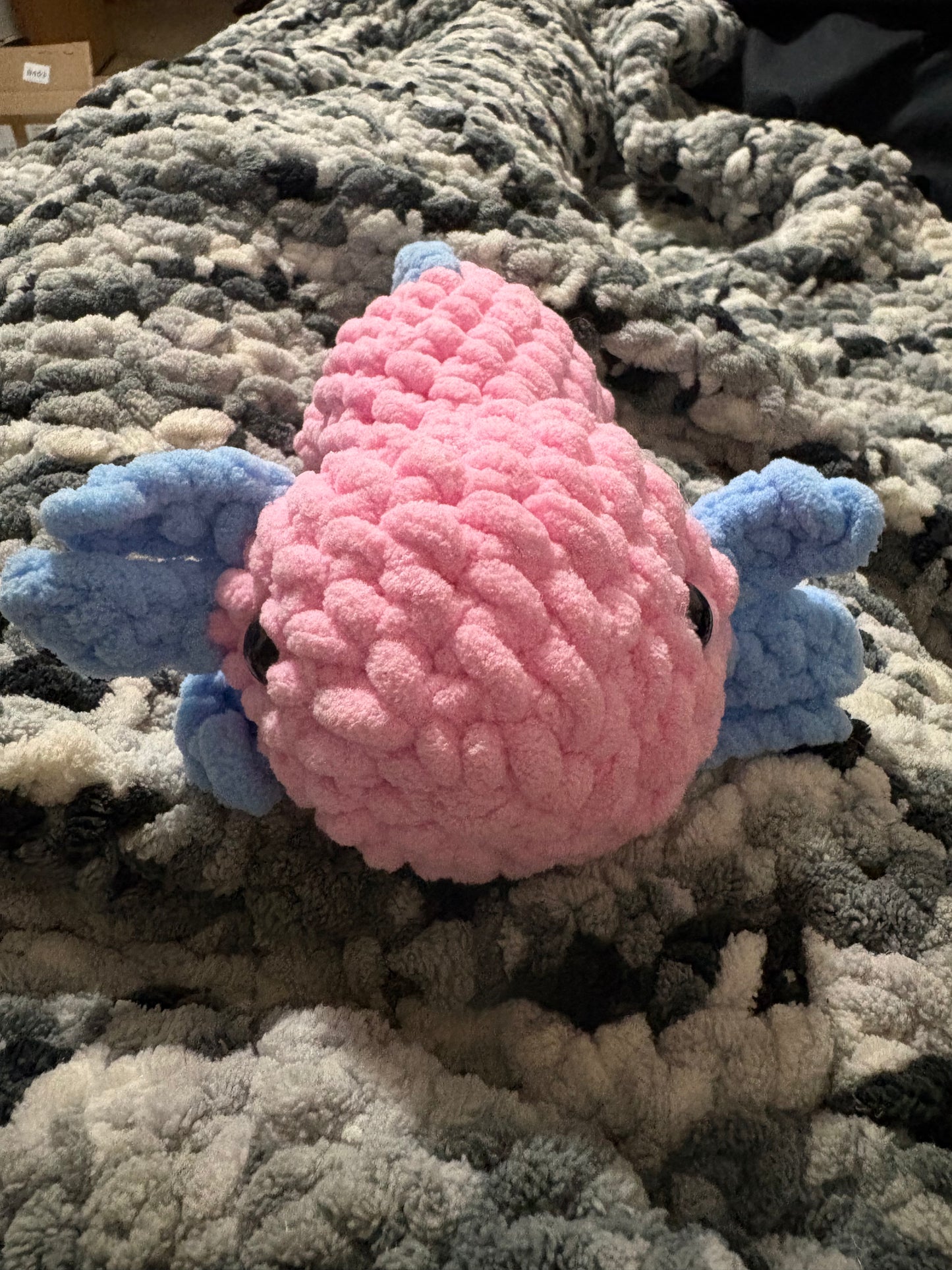 Axolotl